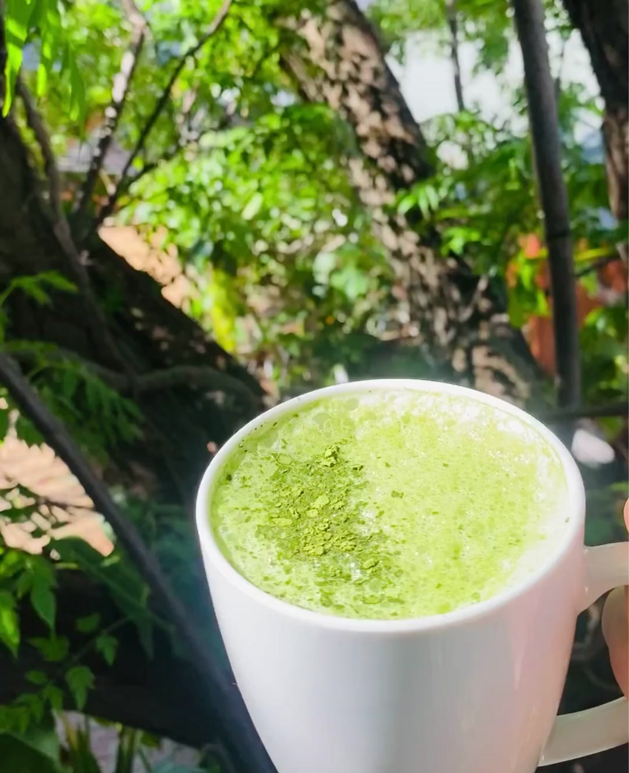Premium Matcha